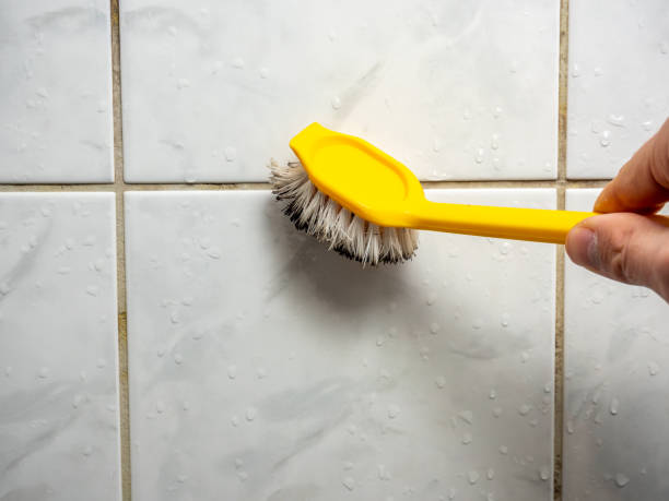 Mold Testing and Removal in Luverne, AL