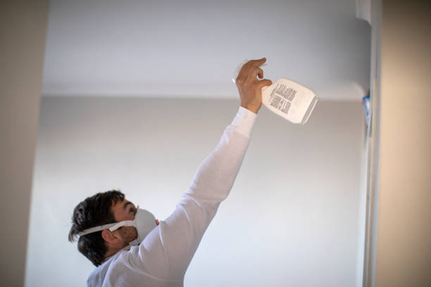 Best Mold Damage Repair  in Luverne, AL