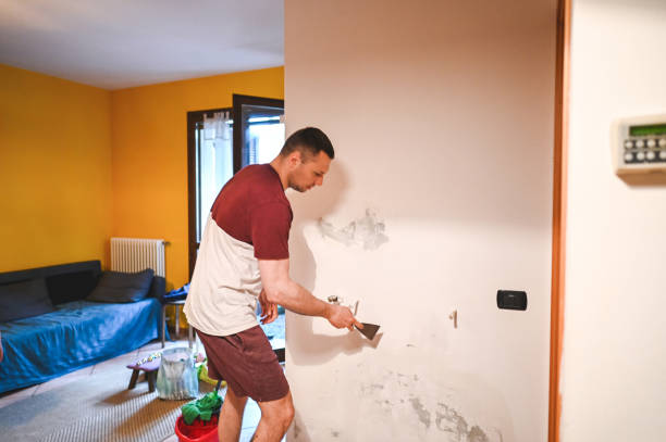 Best Mold Cleaning Services  in Luverne, AL