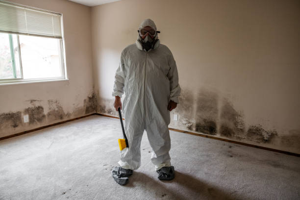Best Crawl Space Mold Removal  in Luverne, AL